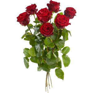 Losse rode rozen supers van Hollandse kweker
